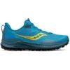 Saucony Mens Peregrine 12