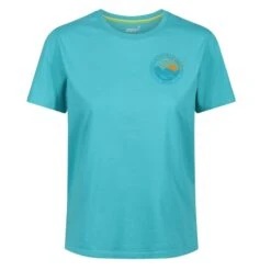 Inov-8 Womens 2003 Graphic SS Tee -PETEBLAND SPORTS SHOP w 2003 graphic ss tee teal 3