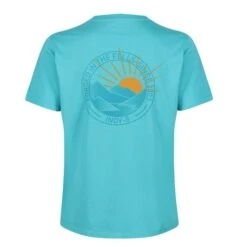 Inov-8 Womens 2003 Graphic SS Tee -PETEBLAND SPORTS SHOP w 2003 graphic ss tee teal 4